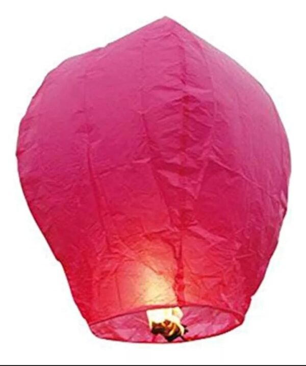 Lote #438 Globos de deseos x10 - Imagen 2