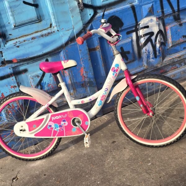 Lote # 30 Bicicleta R20 - Imagen 2