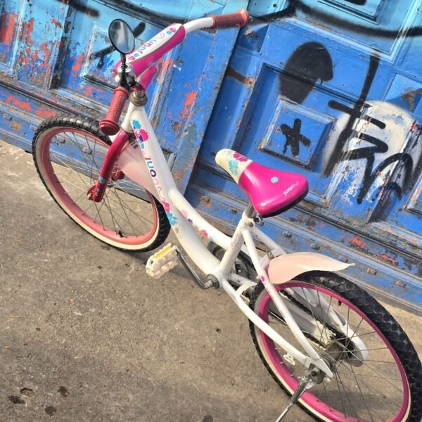 Lote # 30 Bicicleta R20 - Imagen 5