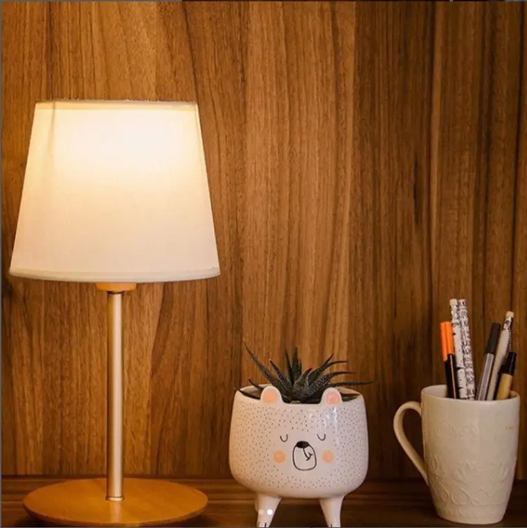 Lámpara de mesa encendida, maceta de oso con suculenta y taza con bolígrafos. by Remates Narvaja