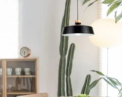 Lámpara colgante negra y madera en interior moderno con cactus. by Remates Narvaja