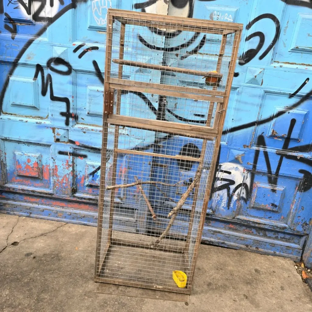 Jaula de pájaros de madera vacía con ramas y un comedero amarillo frente a una puerta azul con graffiti. by Remates Narvaja