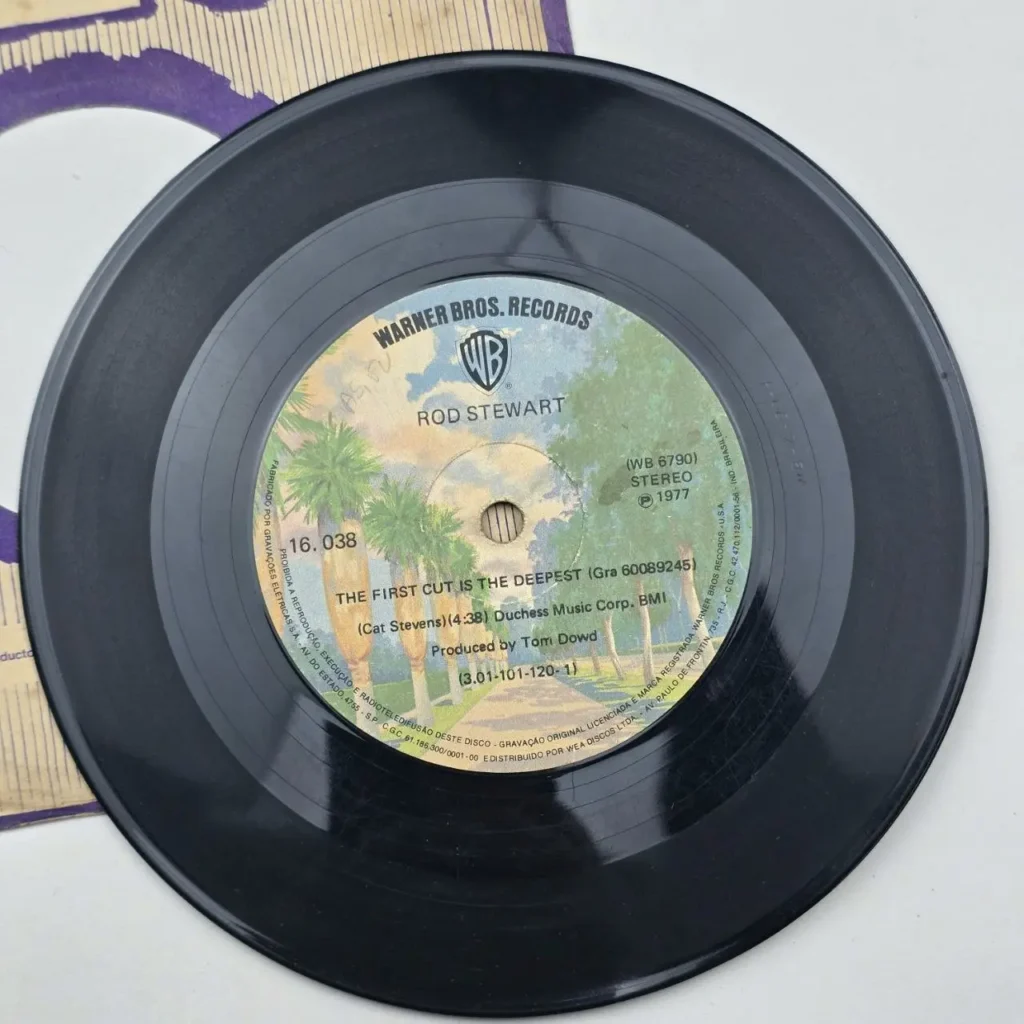 Vinilo 45 RPM de Rod Stewart 'The First Cut Is The Deepest' de Warner Bros. Records, 1977. by Remates Narvaja