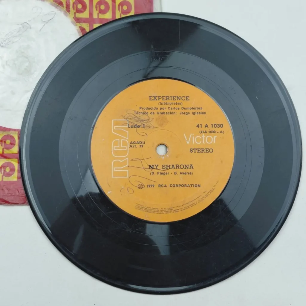 Disco de vinilo negro de 45 RPM "My Sharona" de Experience, sello RCA Victor, 1979. by Remates Narvaja